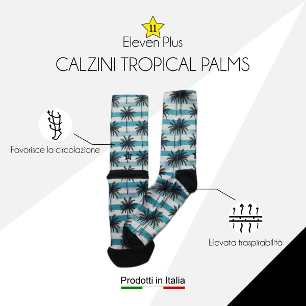 Calazini tropical palms